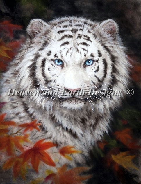 White Tiger Autumn - Click Image to Close